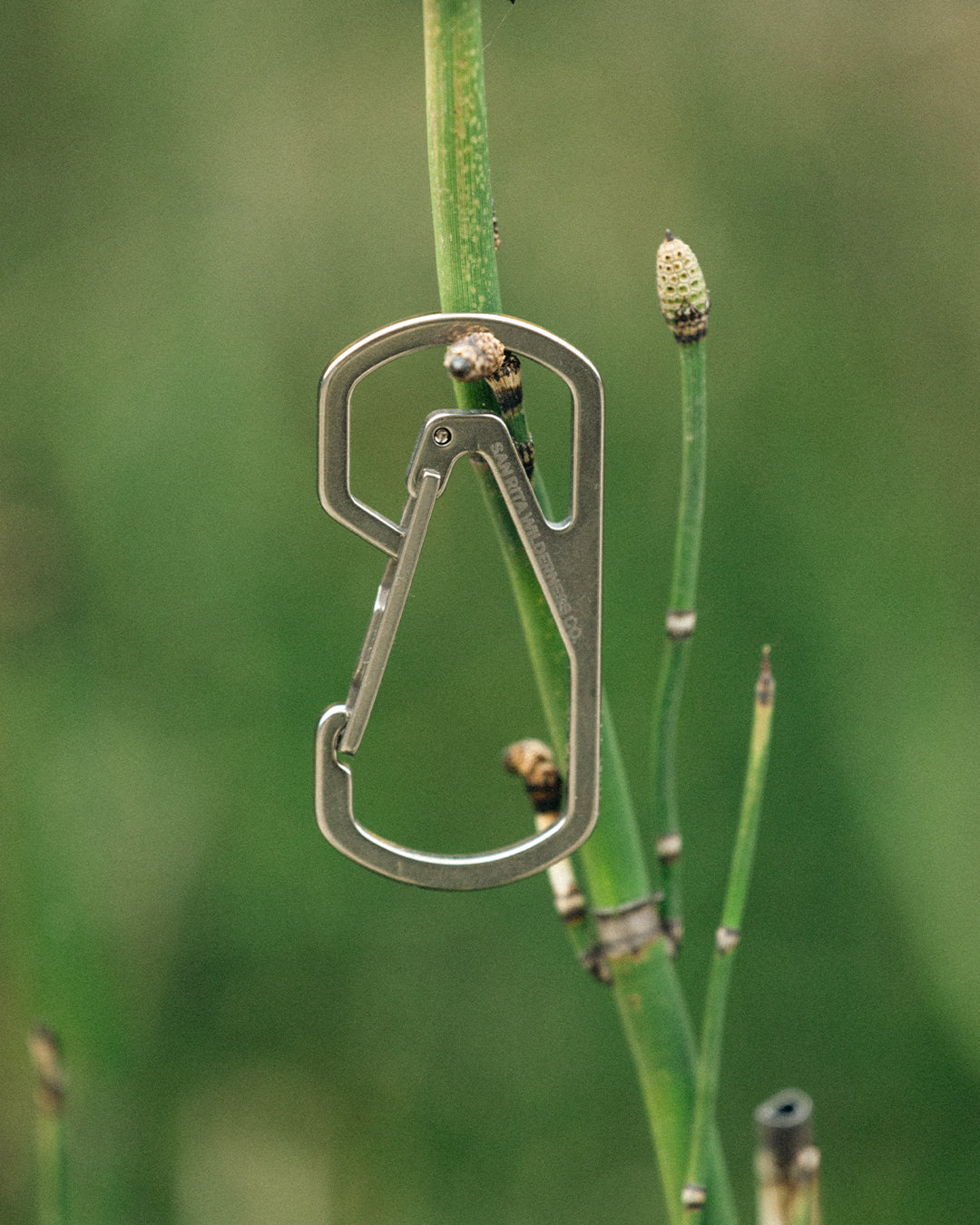 Mousqueton Bishop n.f.c en titane